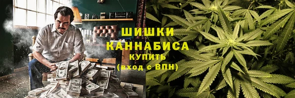 стафф Бронницы